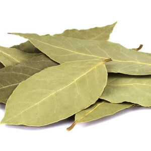 Bay leaf