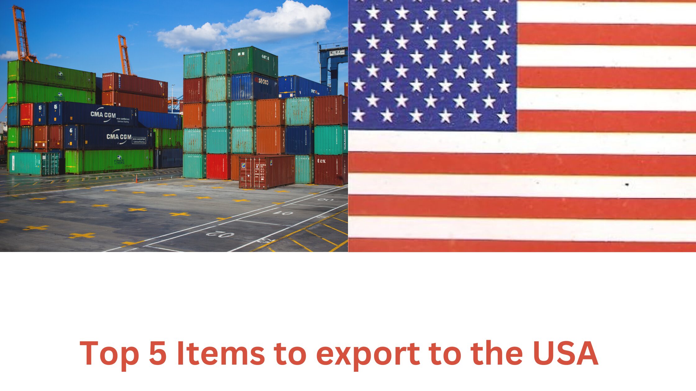 Top 5 items to export to the USA