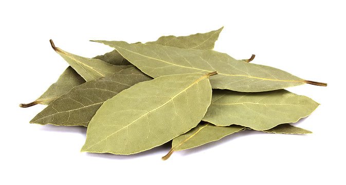 Bay leaves