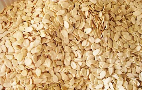 Egusi seed supplier in Nigeria